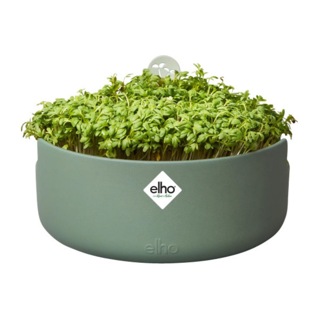 VASO PARA MICROVEGETAIS 17CM VERDE