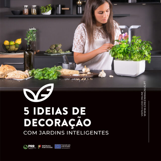 5 ideias de decoração com jardins inteligentes