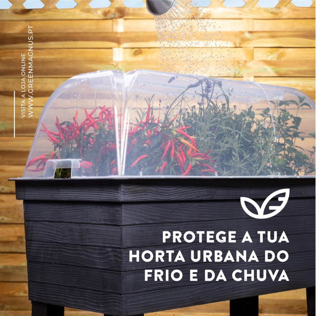 Protege a tua Horta Urbana do Frio e da Chuva