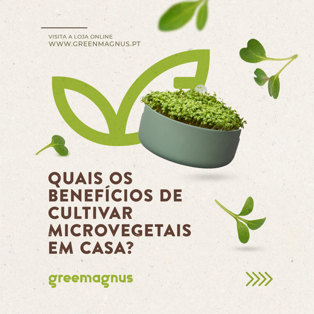 Quais os Benefícios de Cultivar Microvegetais em Casa?