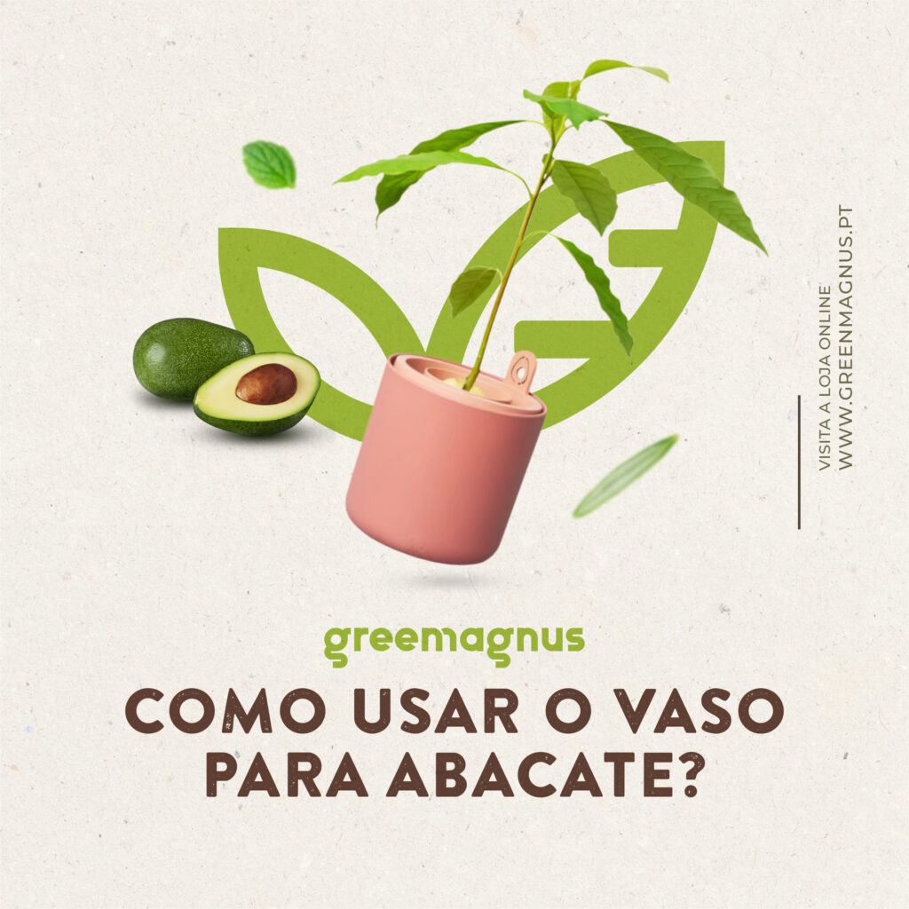 Como Usar o Vaso para Abacate?